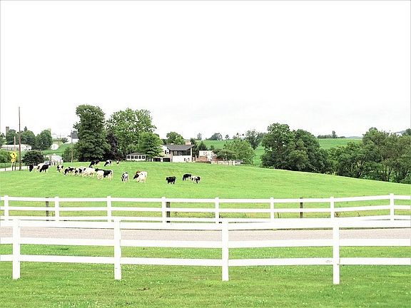 Farmland Views