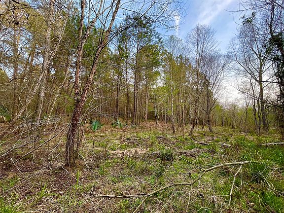 5th image of 1-1-31 Texas Grand Rd