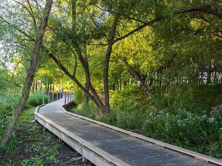 Nearby Trails