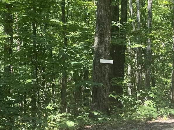 10 Windswept Cir Lot 10, Newport, TN 37821