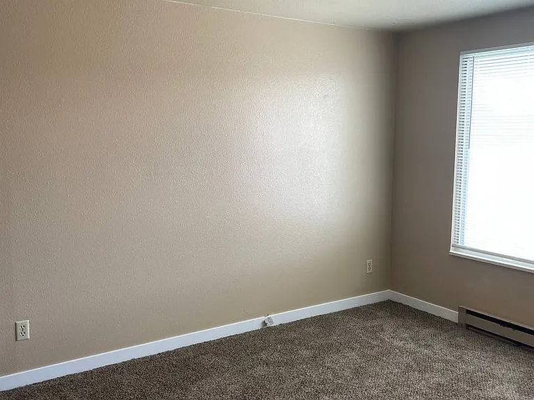 260 Shoshone Ave — Photo 7