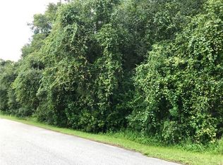 17295 Raintree Rd, Lutz, FL 33558