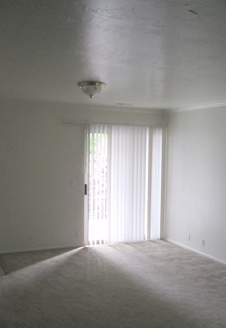 DeForest (19Plex 3Bldg) — Photo 3