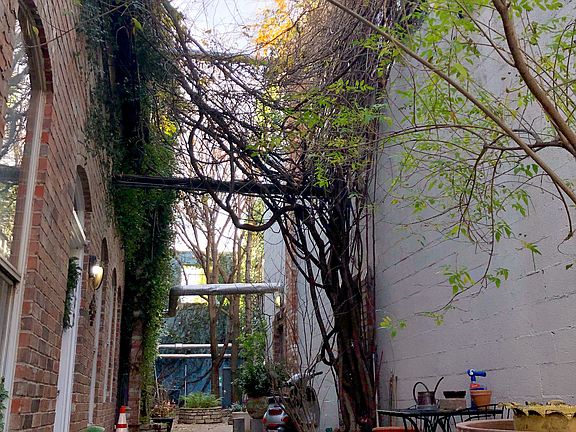 5th image of 101 S Walton St Suite 221