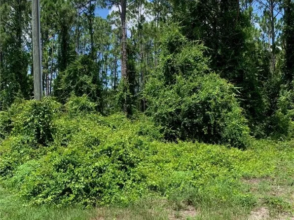 614 Wildflower St, Lake Placid, FL 33852