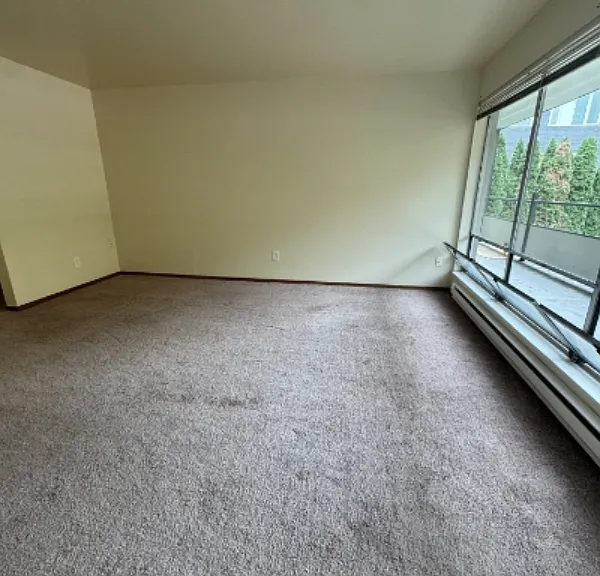 4119 11th Ave NE #2007 — Photo 6