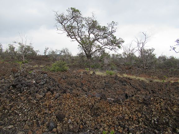 4th image of Koa Ln Lot 17