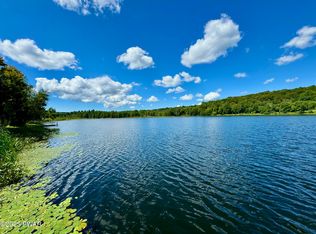 76 S Shore Rd, Pleasant Mount, PA 18453