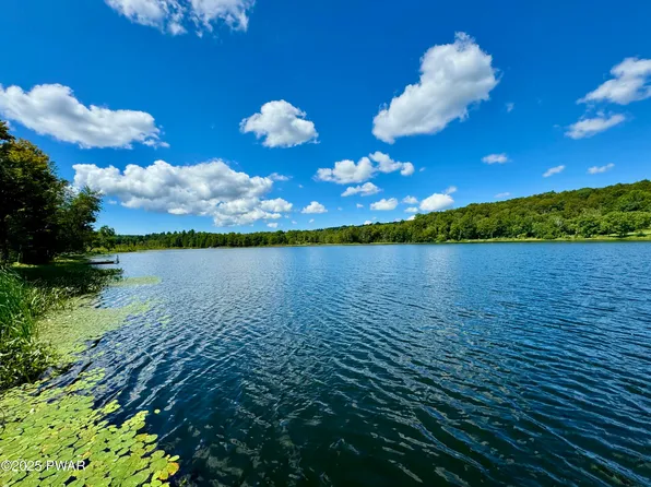 76 S Shore Rd, Pleasant Mount, PA 18453