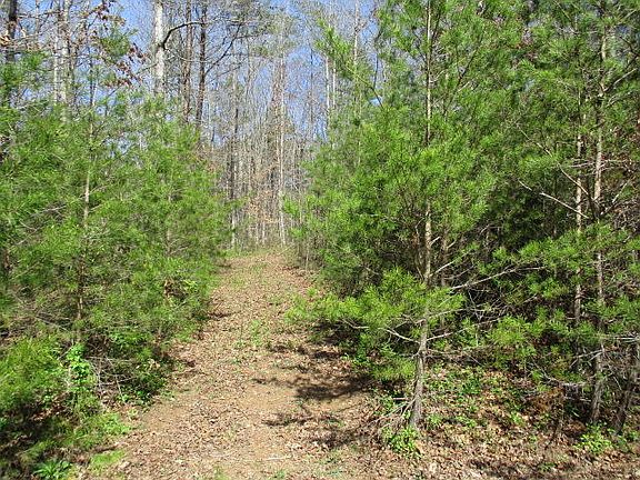 4th image of 189 County Road 103 Lot 3