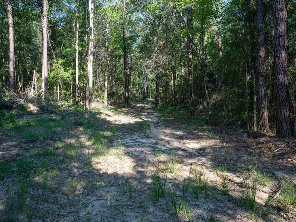 County Road 3000, Woodville, TX 75979