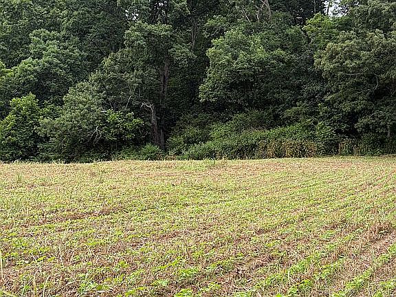 2nd image of 700 Corbet Chappelear Rd