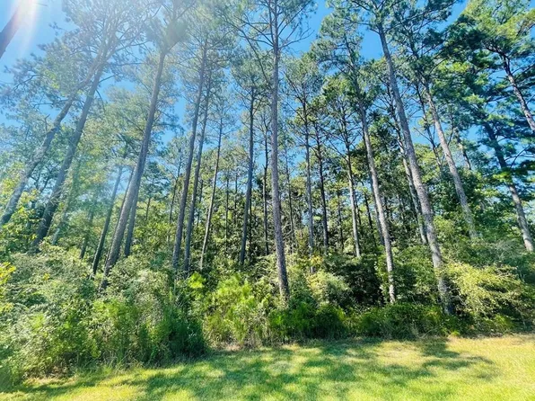 Homesville Rd SW, Bogue Chitto, MS 39629