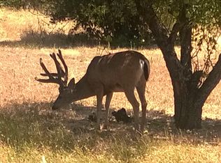 1963 Alton King Rd, Goldston, NC 27252