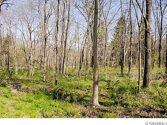 5th image of 4991 Route 15a