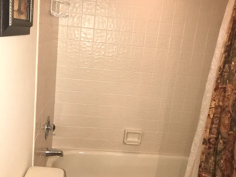 2nd bath with tub and shower