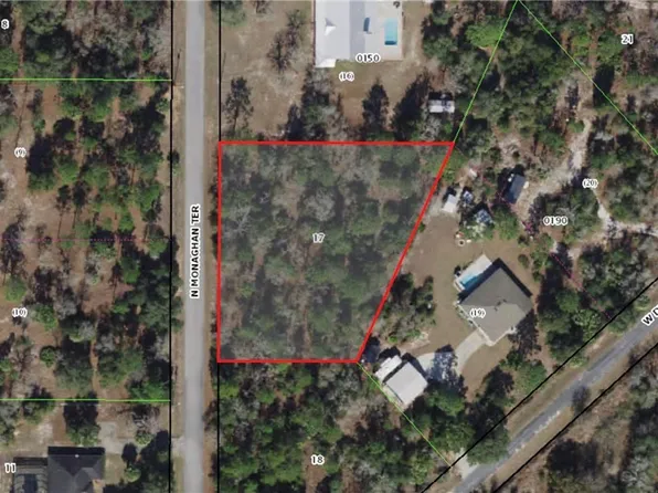 8195 N Monaghan Ter, Crystal River, FL 34428