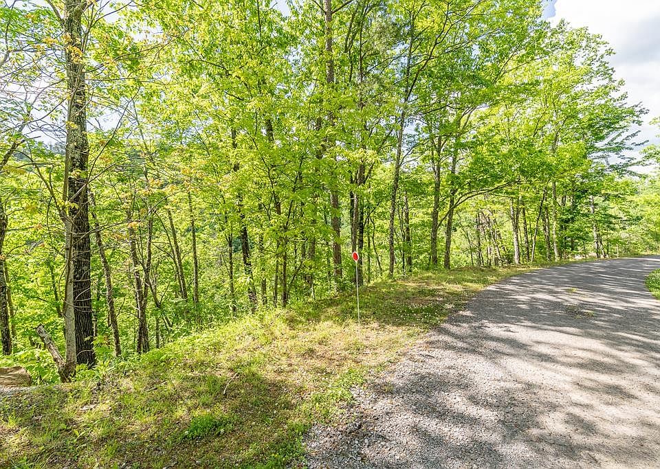 1st image of 0 Lones Branch Ln