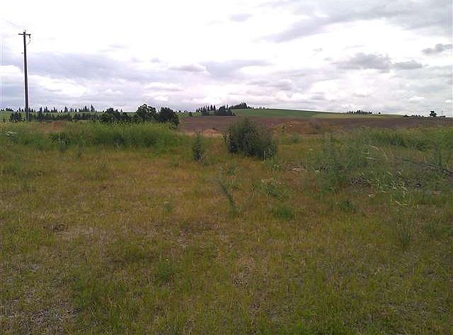 2nd image of 12311 Orchard Heights Rd