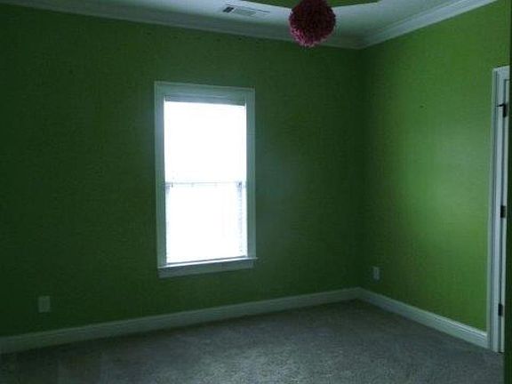 3rd image of 303 Madilyn Dr