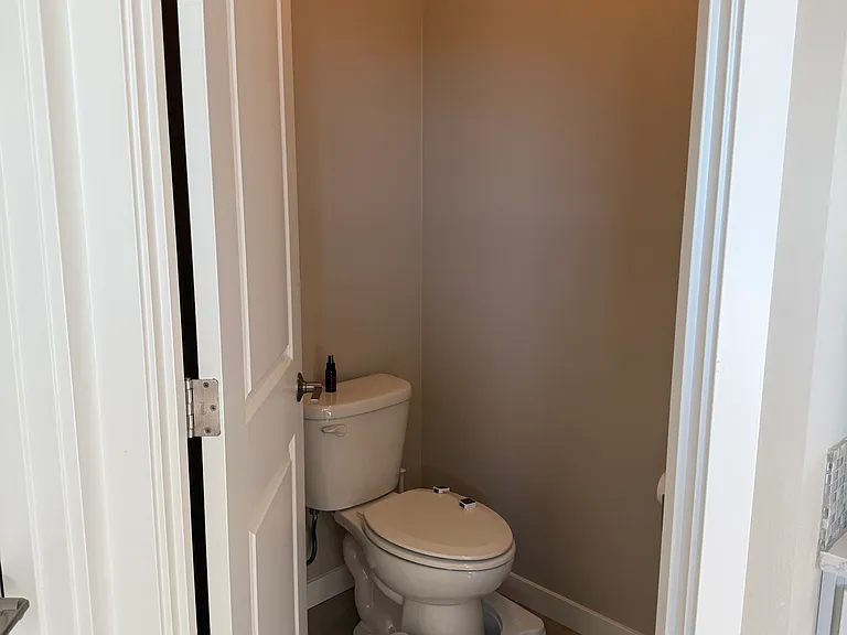 Toilet in the master bath