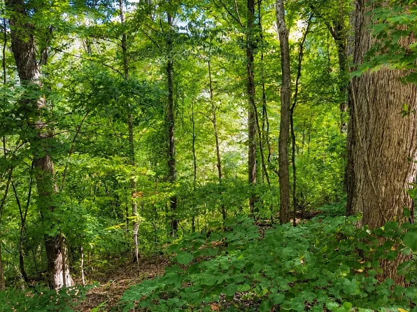 33 Swiper Dr Lot 33, Smithville, TN 37166