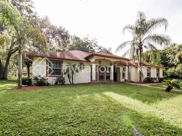 31039 Lochmore Cir, Mount Plymouth, FL 32776