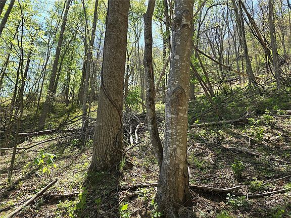 2nd image of TBD Round Knob Ridge Road