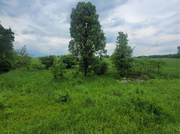 00 County Hwy B Lot 2, Neillsville, WI 54456