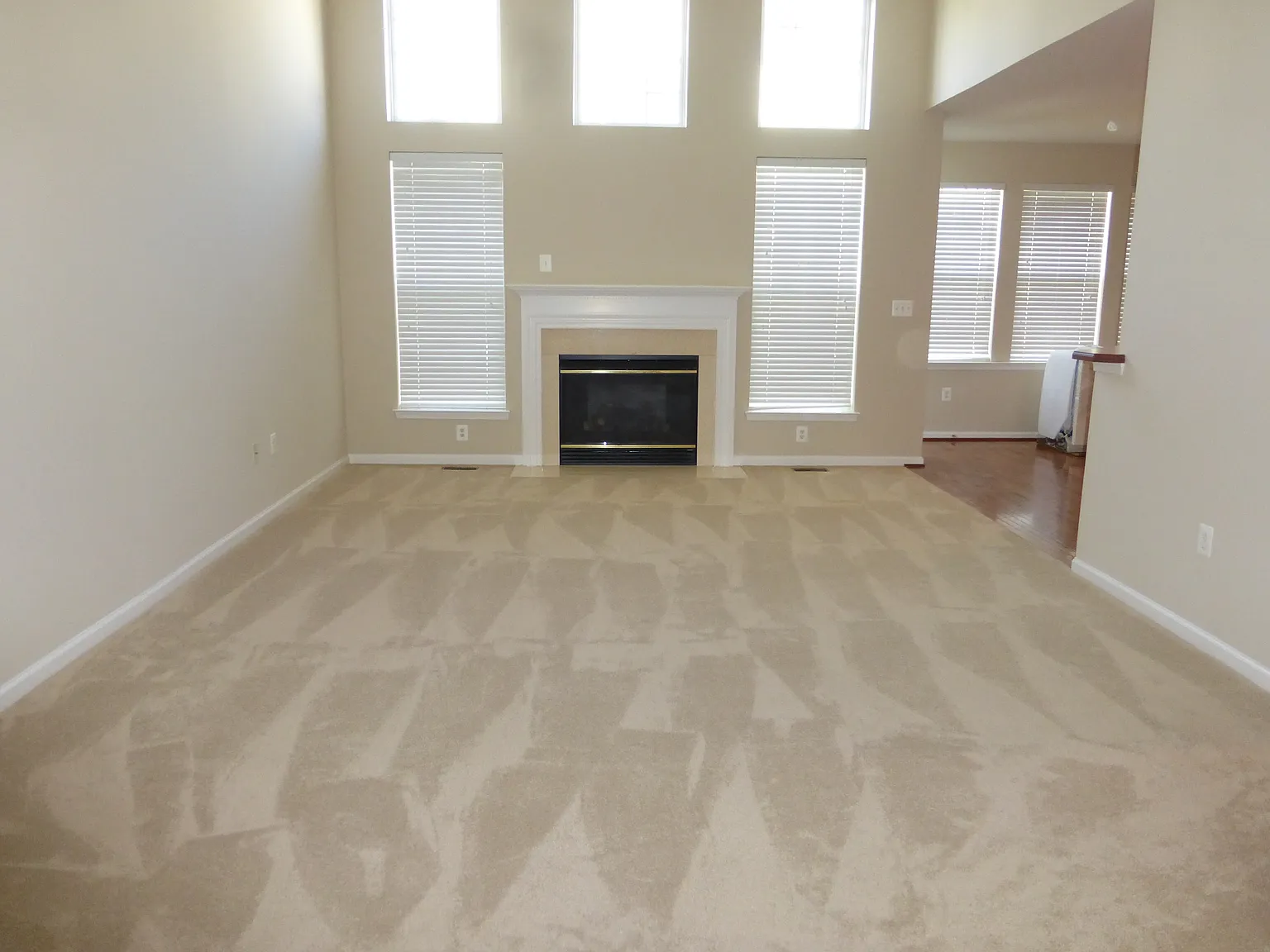1407 Graham Drive - 1 — Photo 3