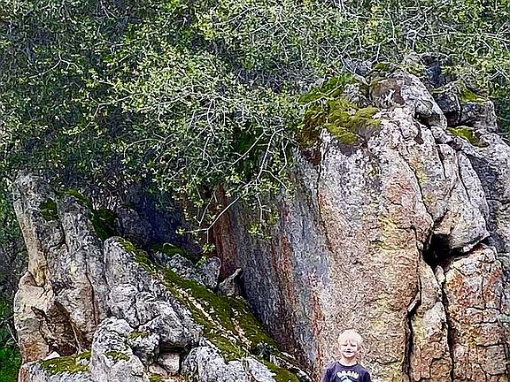 Beautiful wooded area.  Ista