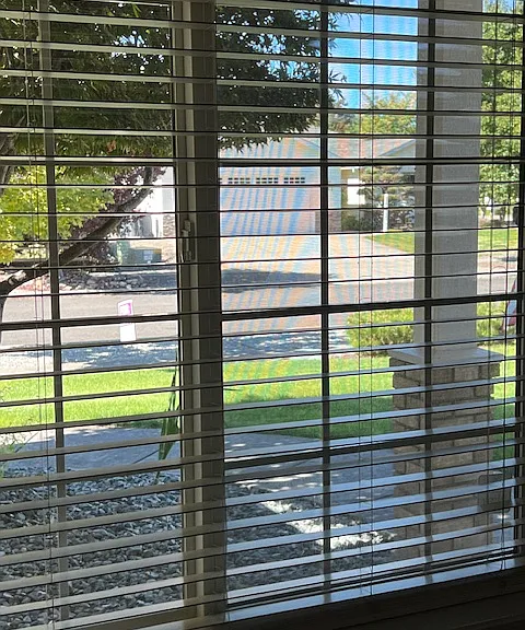 looking out from living room window