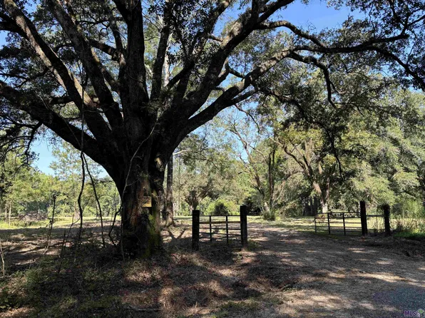 TRACT Barber Rd #A, Franklinton, LA 70438