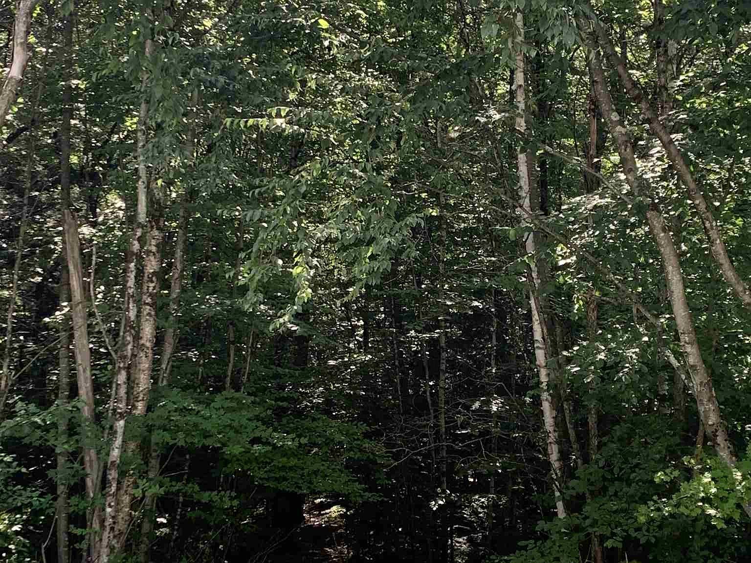 0 Back Westminster Road, Westminster, VT 05158 Zillow