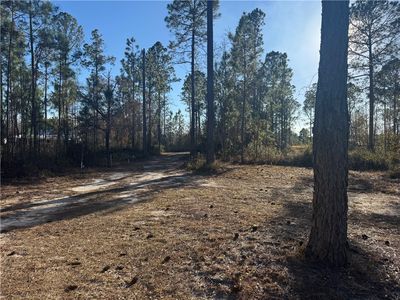 0 White Tail Way, Blackshear, GA, 31516