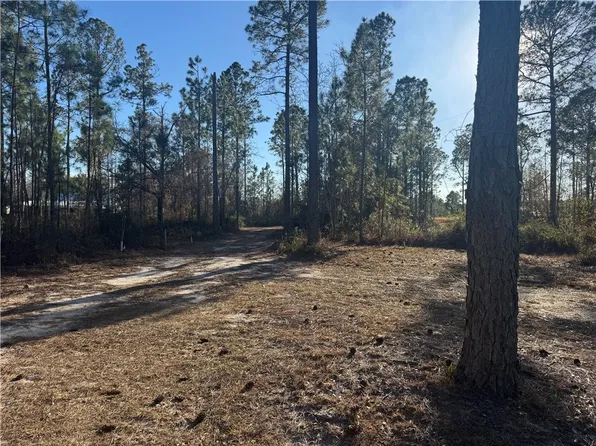 0 White Tail Way, Blackshear, GA 31516