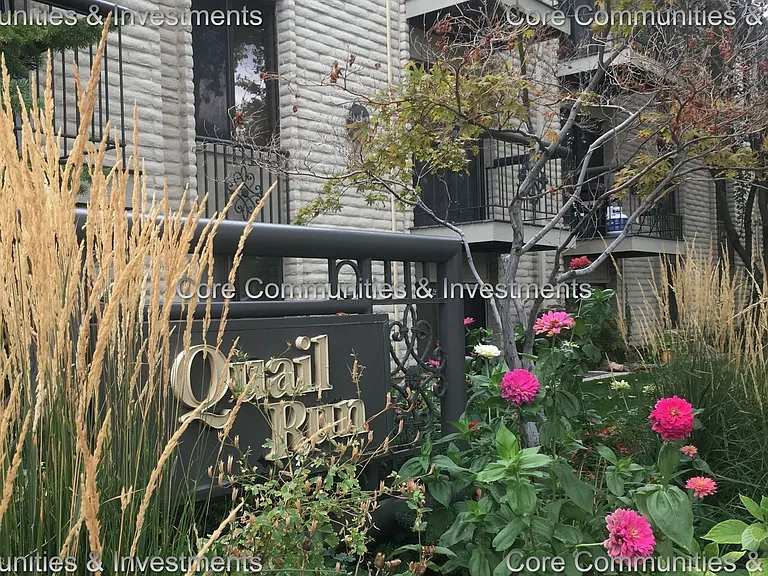 Quail Run — Photo 4