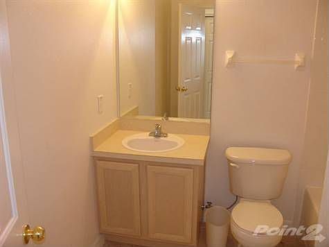 4th image of 30229 Swinford Ln