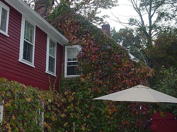 Back of House