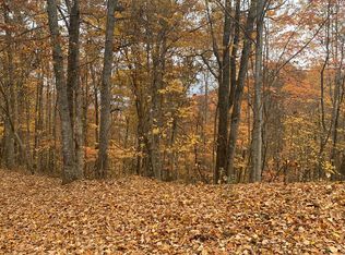 8 Turtle Springs Rd, Bryson City, NC 28713