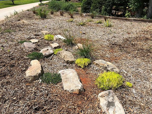 New xeriscaped area by road