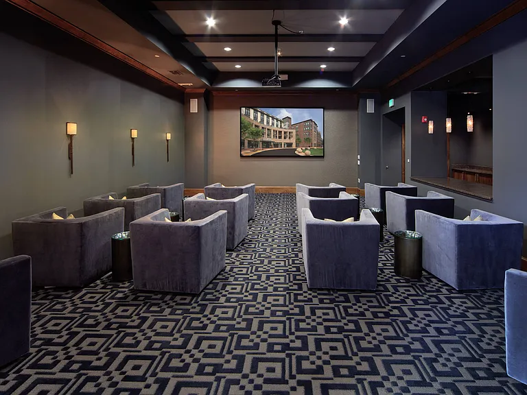 State-of-the-Art Theatre with Full Personal Gaming/Media Capabilities, 110