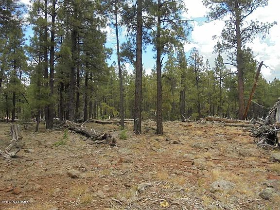 3rd image of 4733 S Shiner Ranch Rd