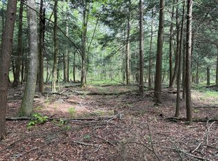 Kellogg Hill Rd, South Dayton, NY 14138