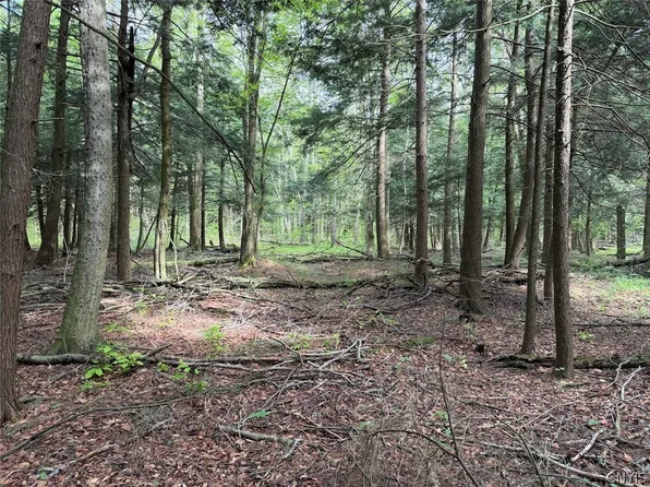 Kellogg Hill Rd, South Dayton, NY 14138