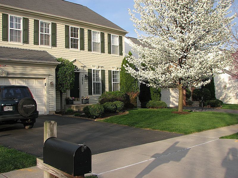 Front of house