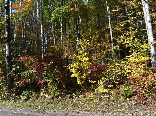 Algonquin Dr, Glennie, MI 48737