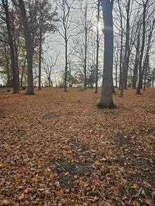 2203 Gainsboro Ave, Davis, IL, 61019