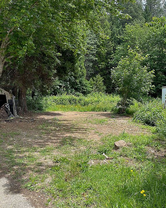 2nd image of 169 Lizzy Ln