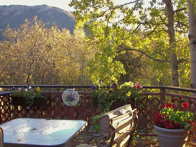 Don't Forget this View!